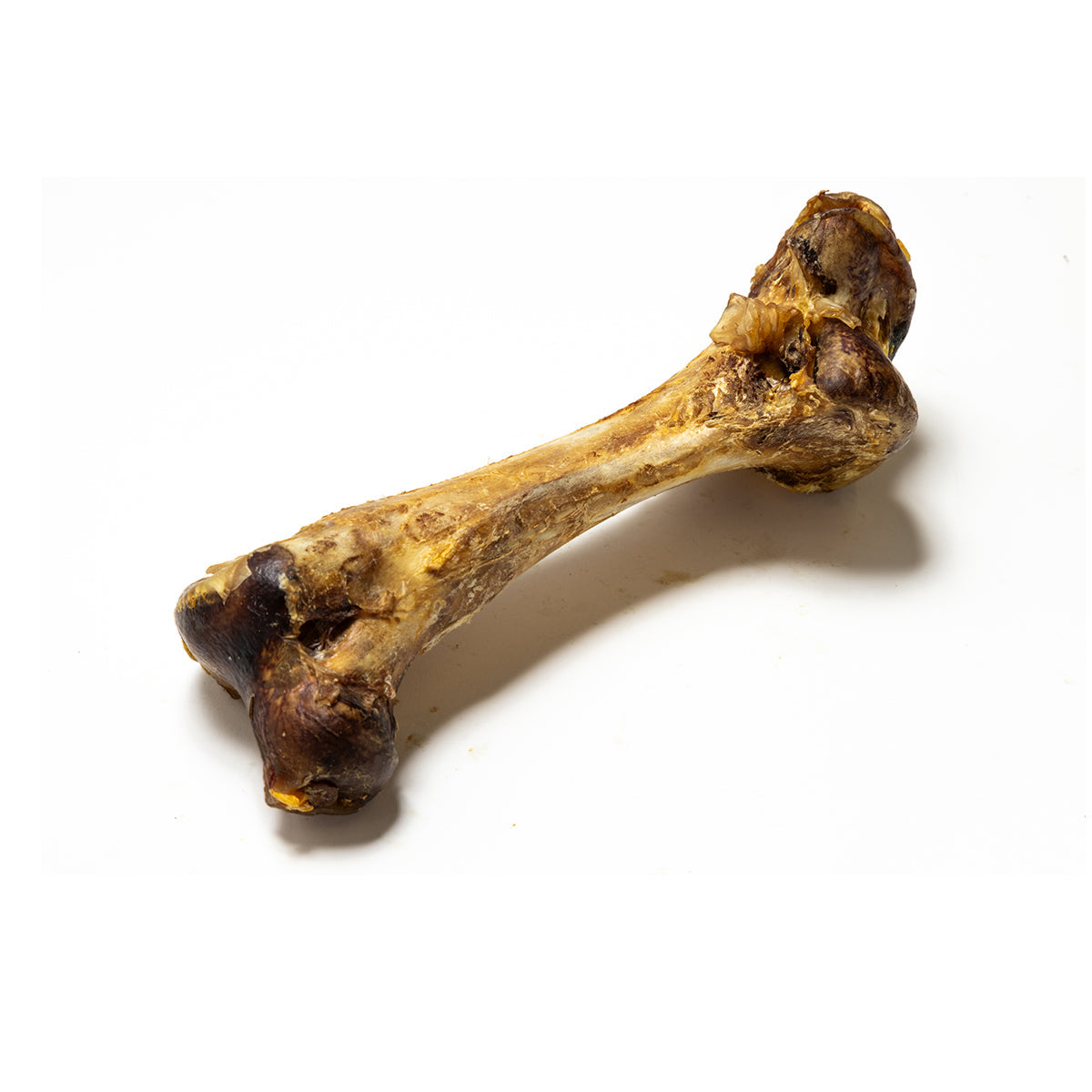 Jumbo ostrich bone for dogs – exotic long-lasting natural chew
