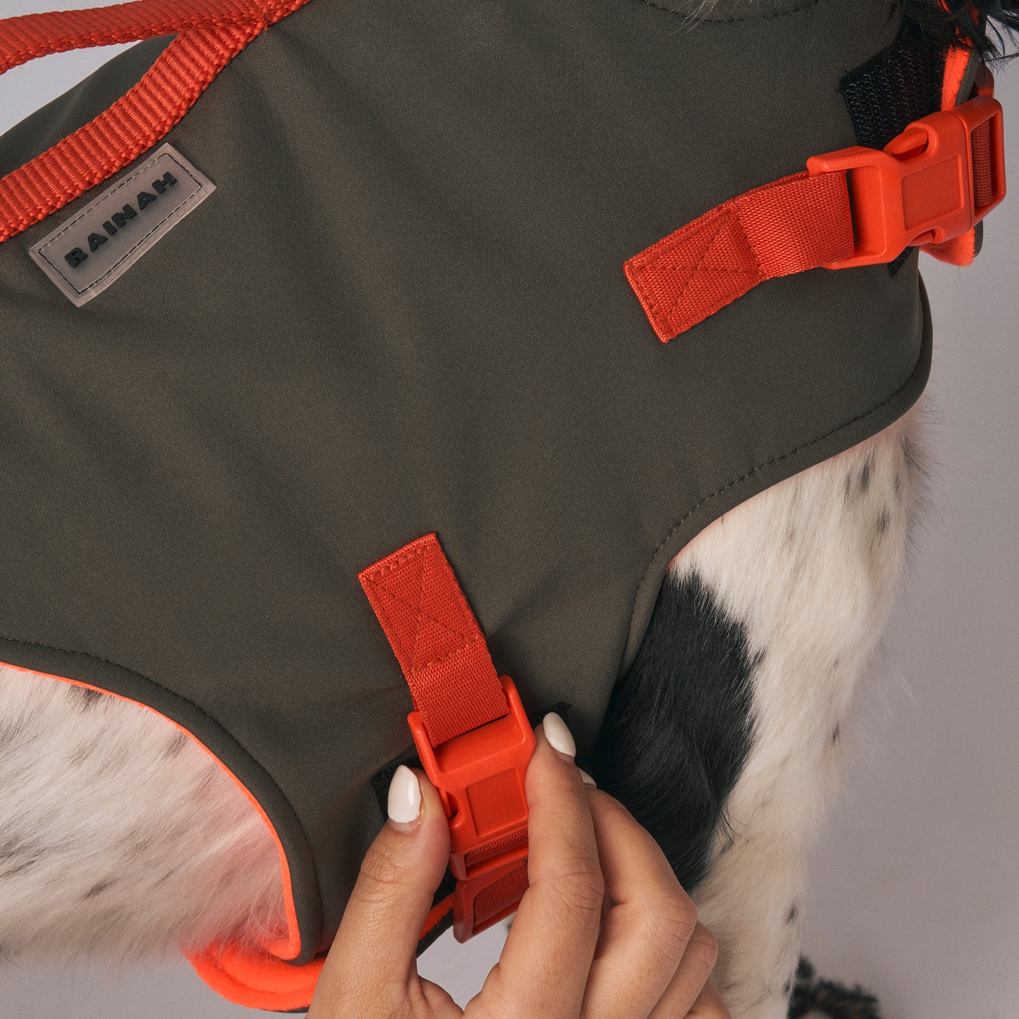 Dog harness - The Trekker Harness - adjustable, waterproof, durable dog harness