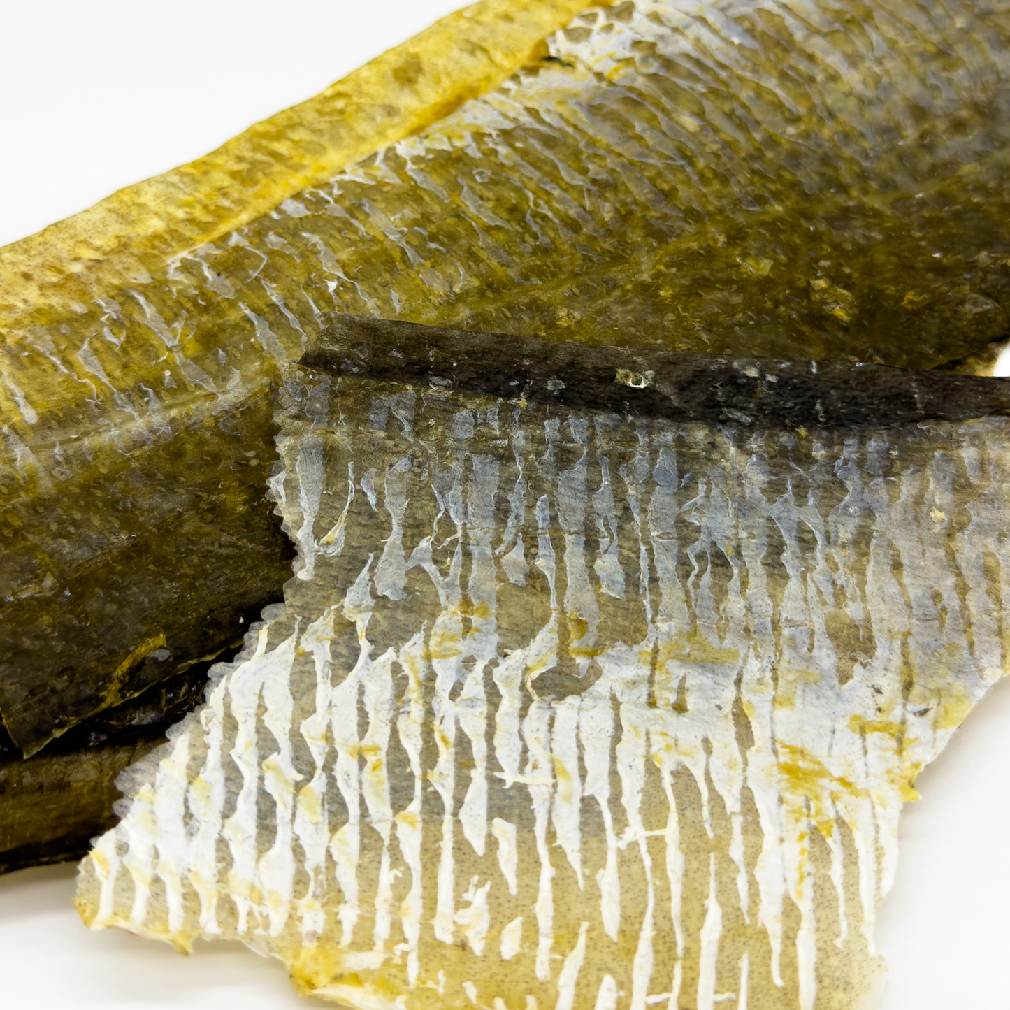 Fish Skin Flats - 100% Cod