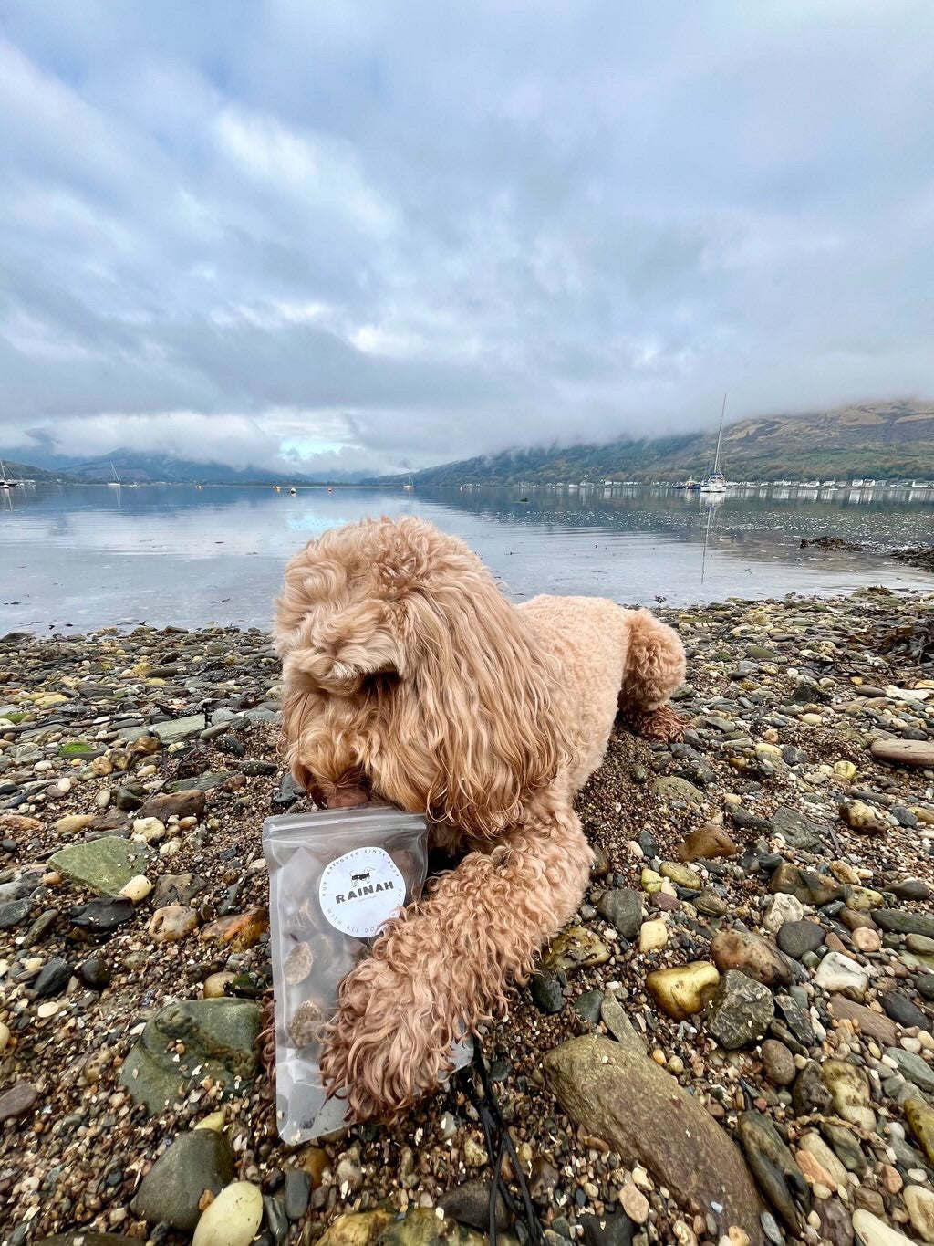 100% Natural Dog Treats