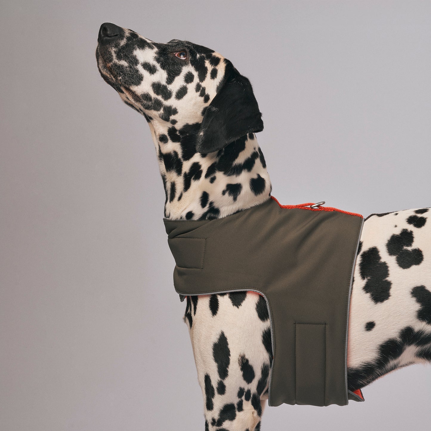 The Explorer Harness