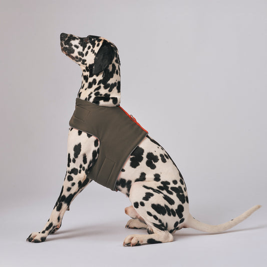 The Explorer Harness