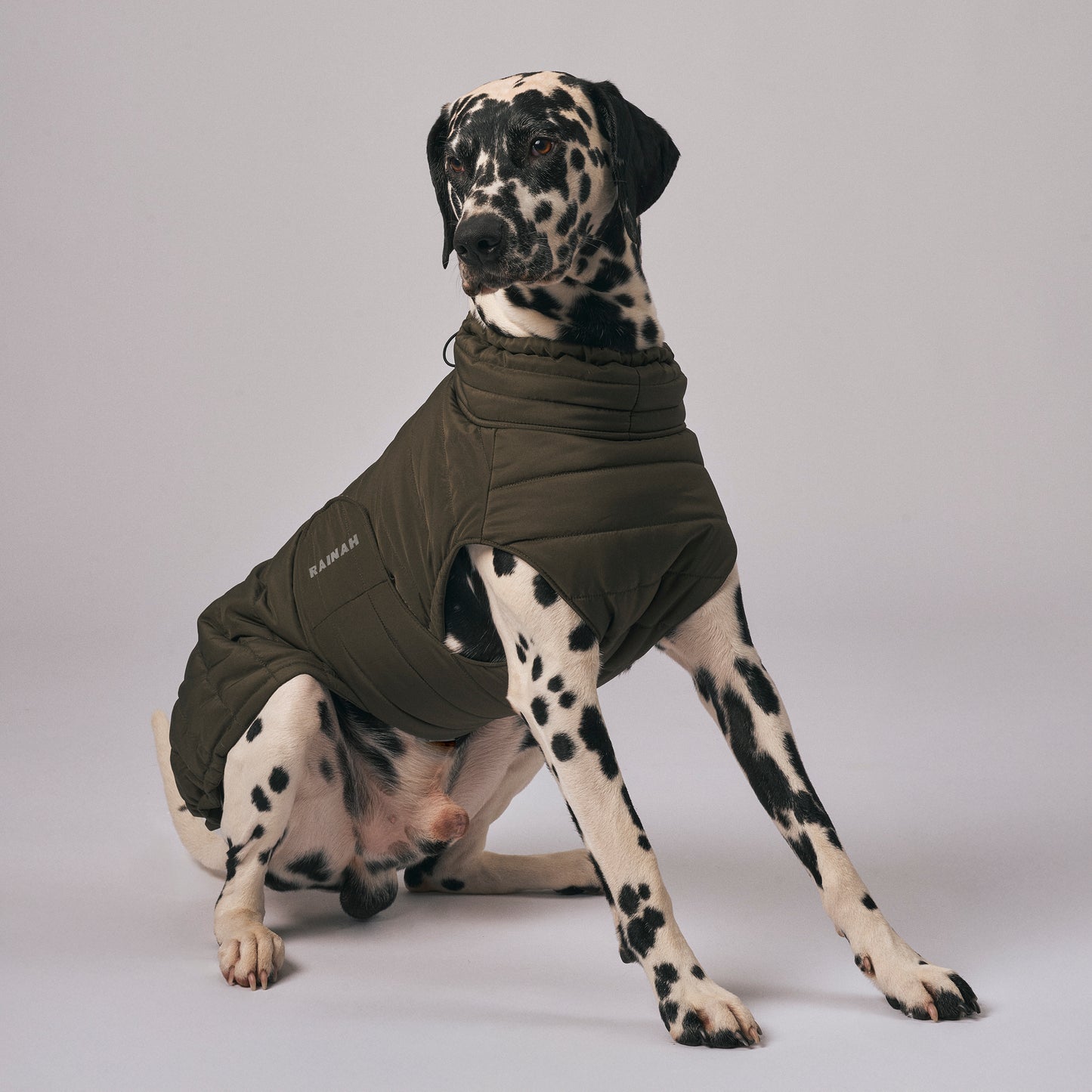 The Rainah Roam insulated waterproof dog puffer coat – warm winter dog jacket