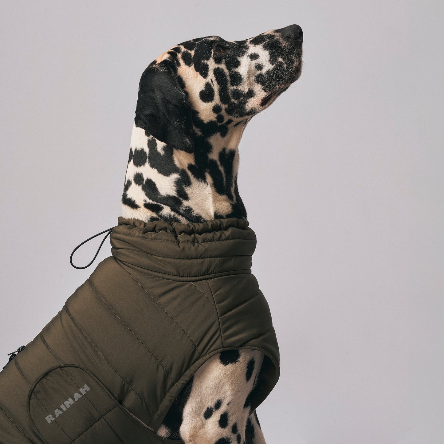 Waterproof dog coat - The Rainah Roam Puffer Coat - weather-resistant dog apparel