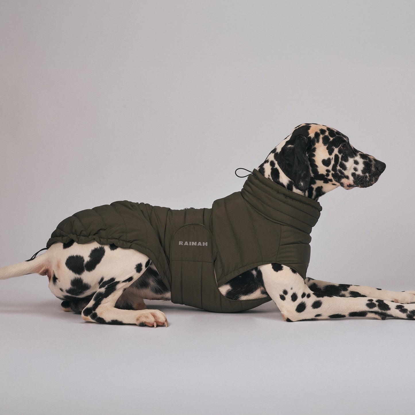 Waterproof dog coat - The Rainah Roam Puffer Coat - weather-resistant dog apparel