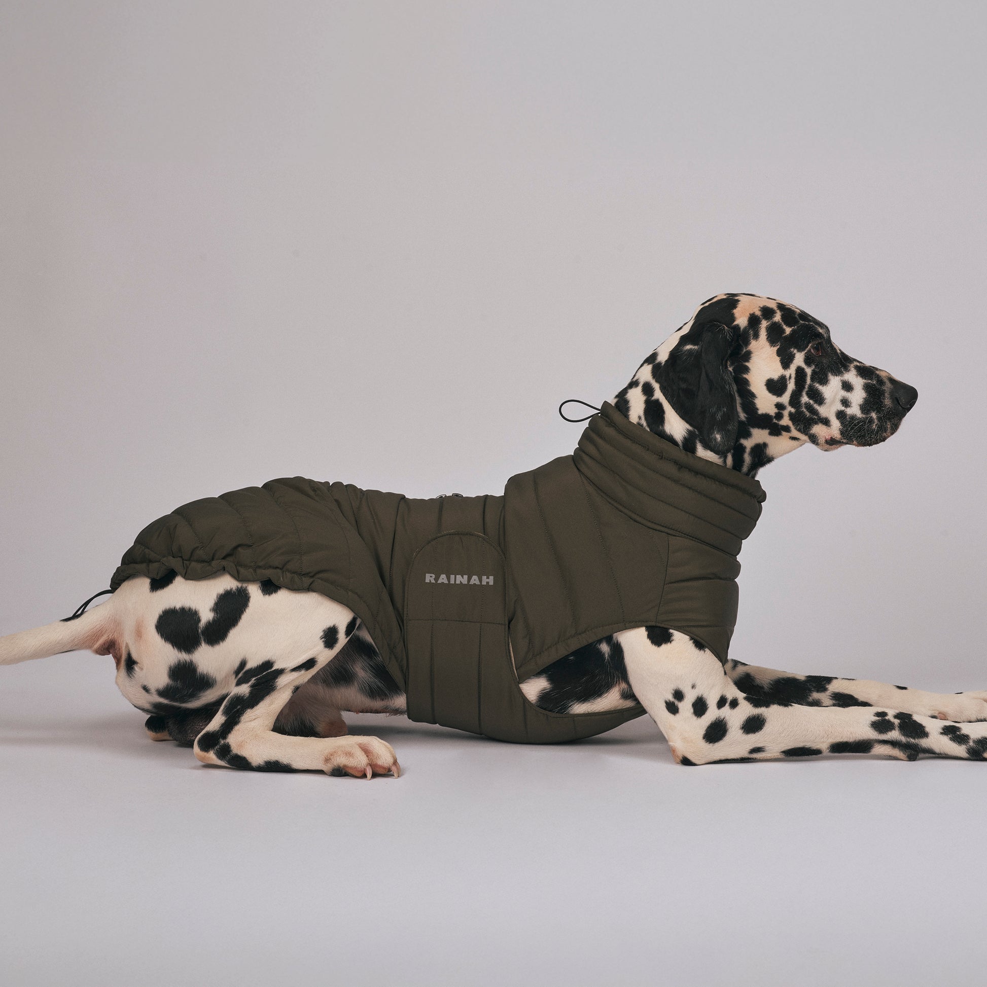 Waterproof dog coat - The Rainah Roam Puffer Coat - weather-resistant dog apparel