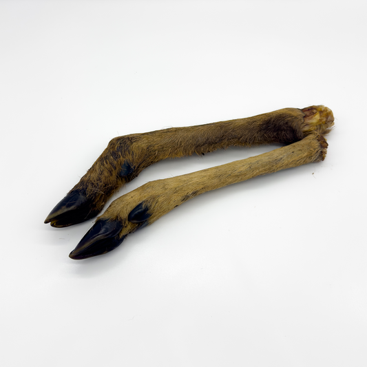 Hairy Venison Leg - Deer Legs