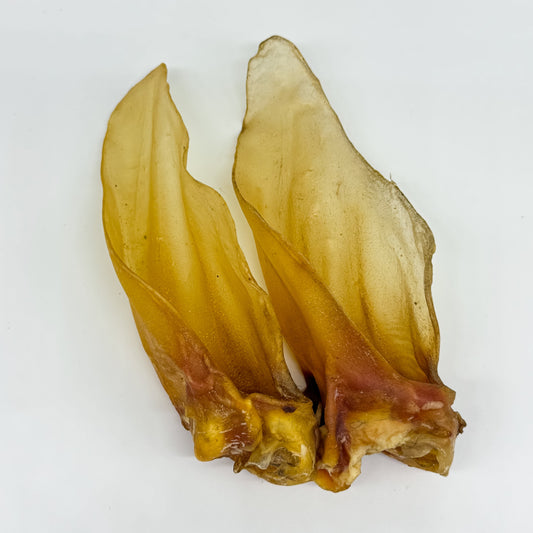 Hairless Cow Ear