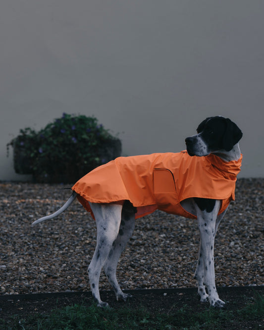 Side view of the Rainah Trench Coat lightweight waterproof dog coat with drawstring hem
