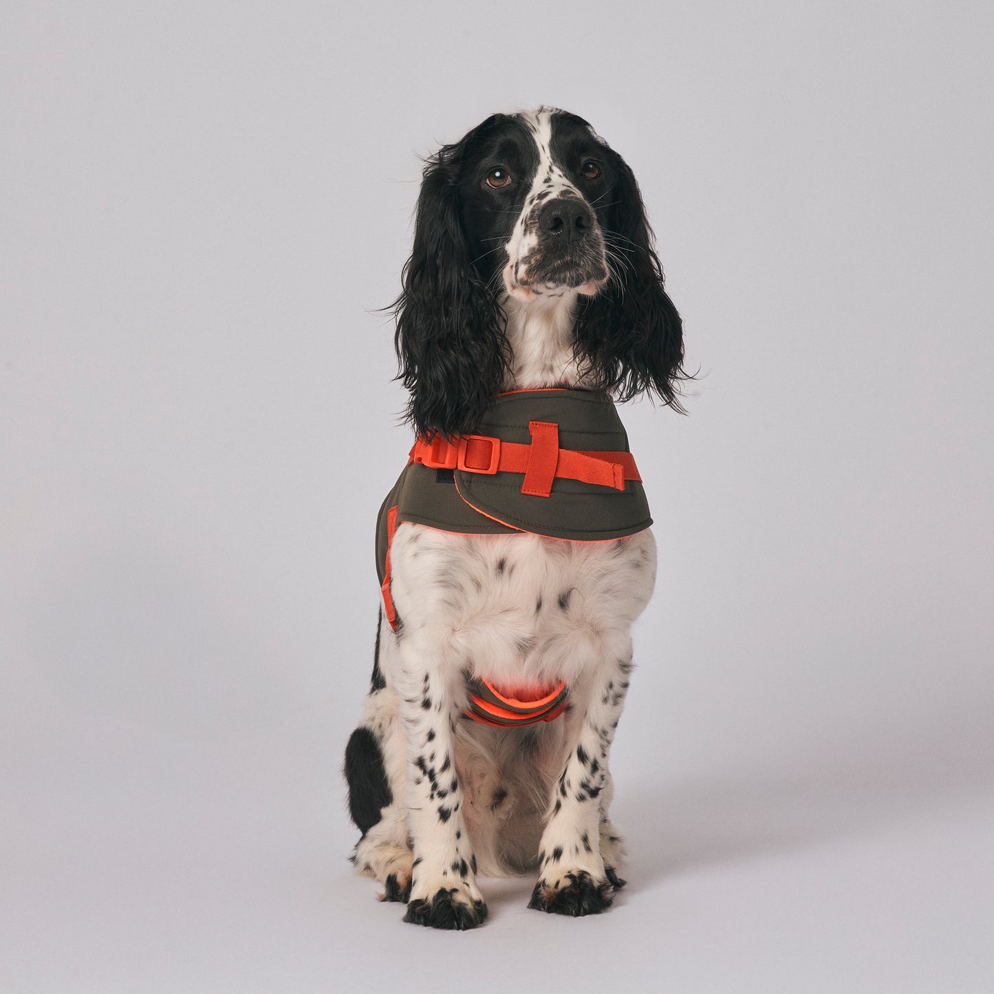 Dog harness - The Trekker Harness - adjustable, waterproof, durable dog harness