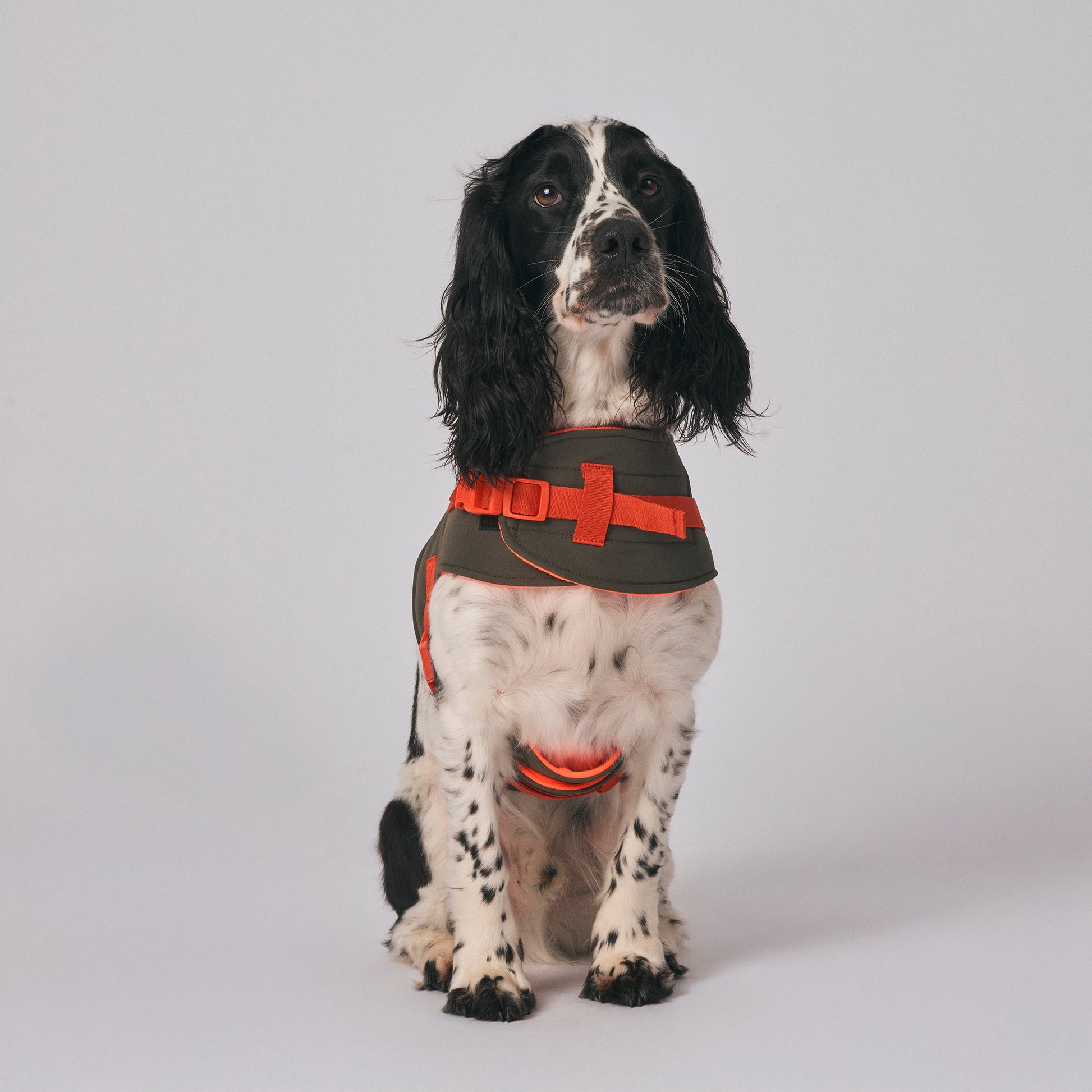 Dog harness - The Trekker Harness - adjustable, waterproof, durable dog harness