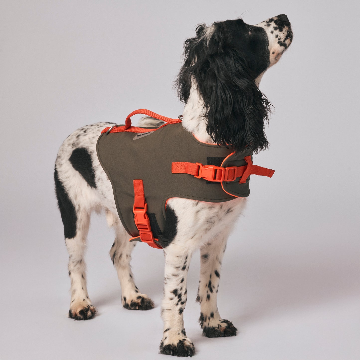 Dog harness - The Trekker Harness - adjustable, waterproof, durable dog harness