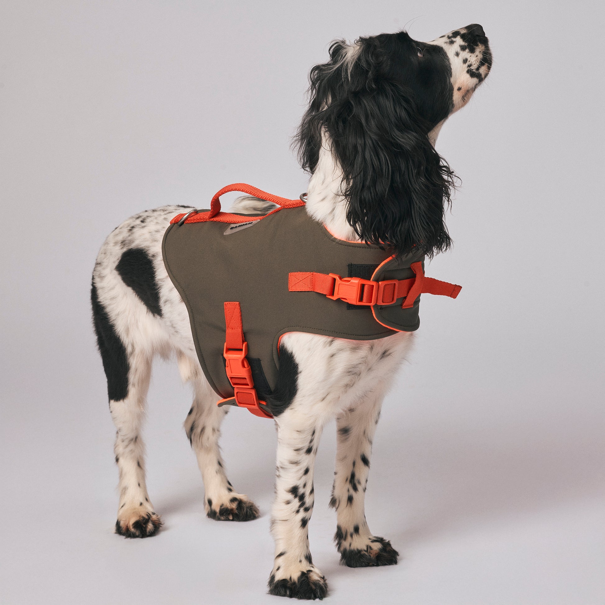 Dog harness - The Trekker Harness - adjustable, waterproof, durable dog harness