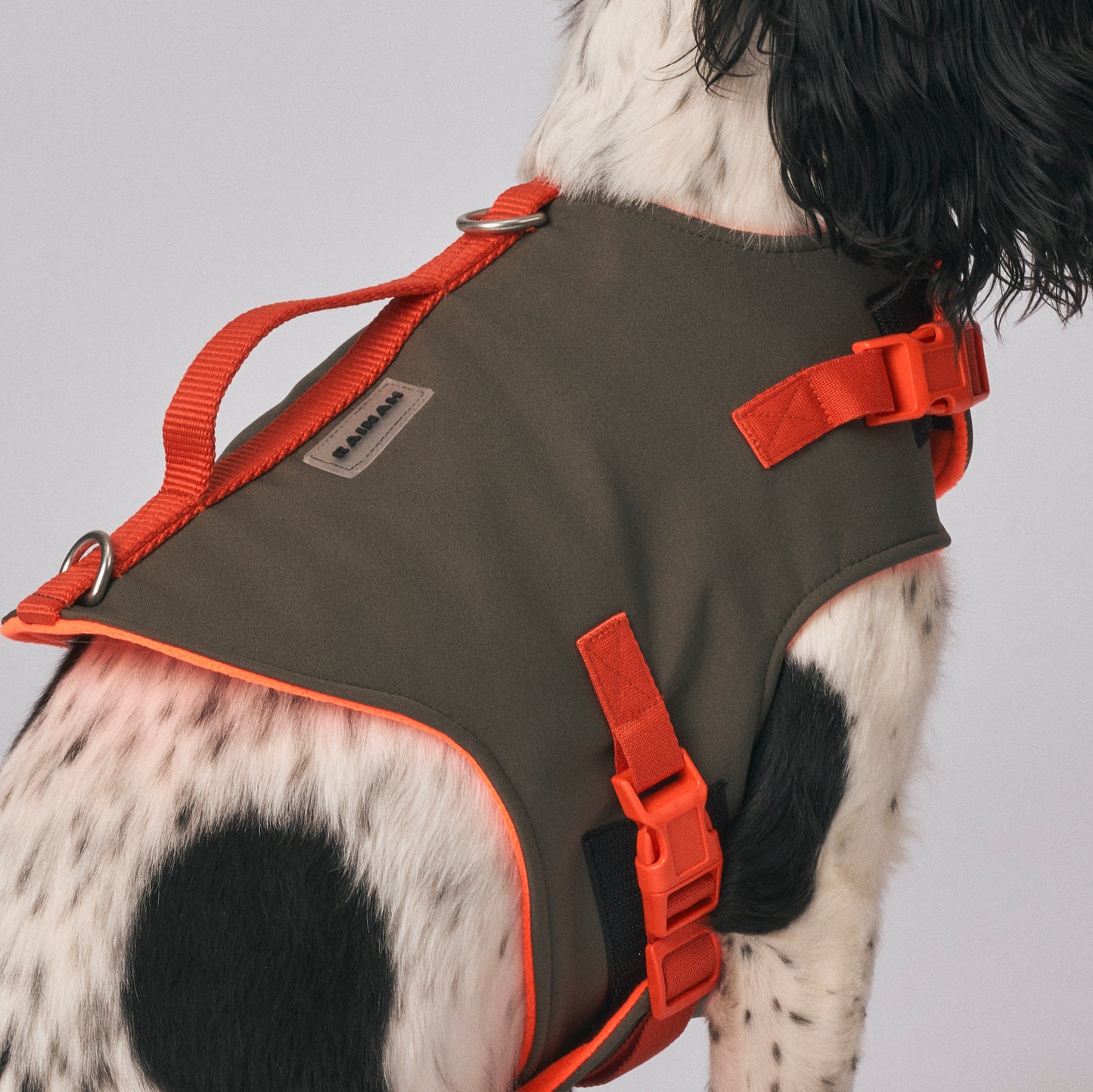 Dog harness - The Trekker Harness - adjustable, waterproof, durable dog harness