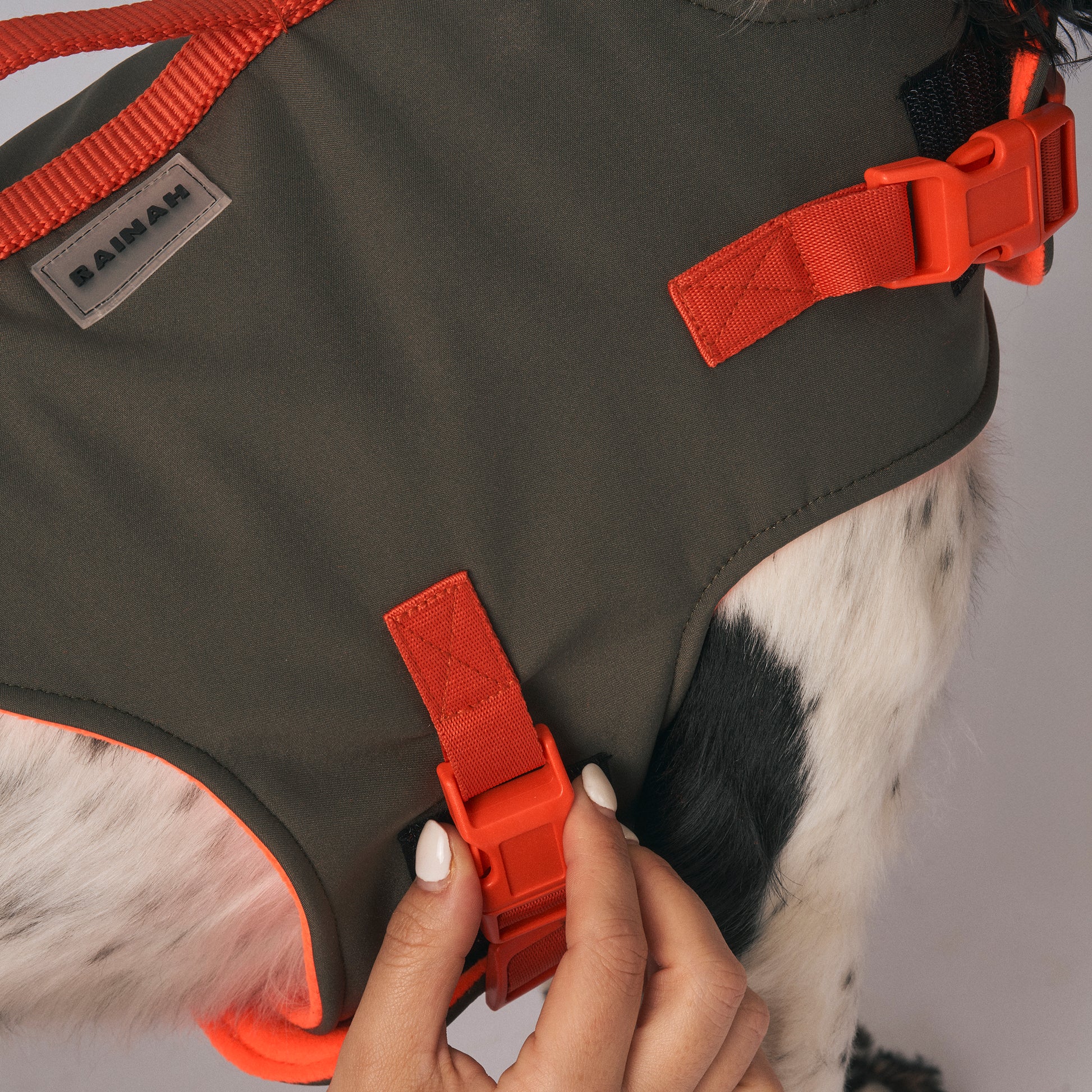 Dog harness - The Trekker Harness - adjustable, waterproof, durable dog harness