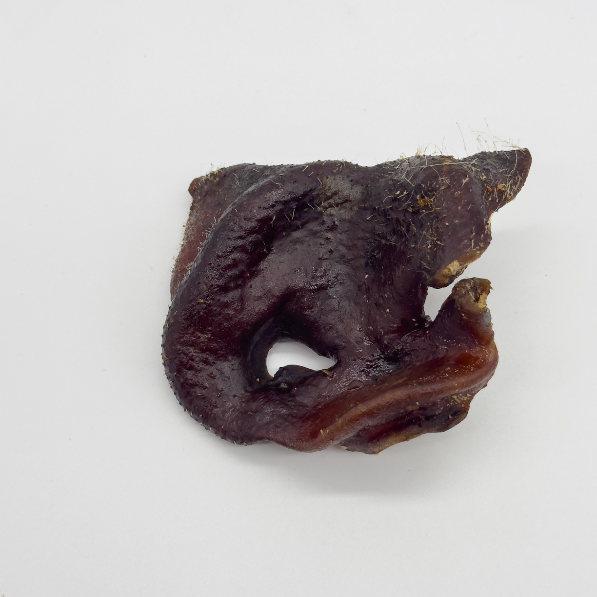 Pig Snout - Dried