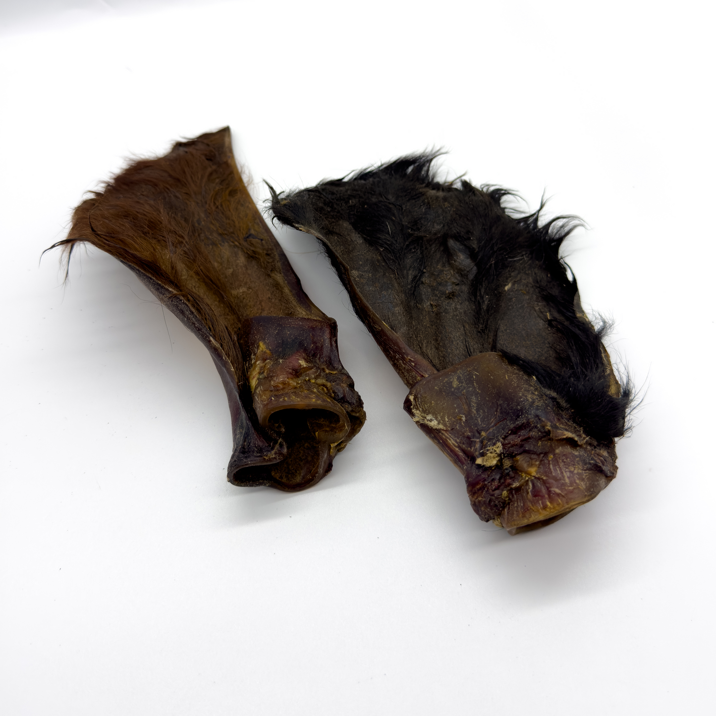 Hairy Cow Ears - Medium Size