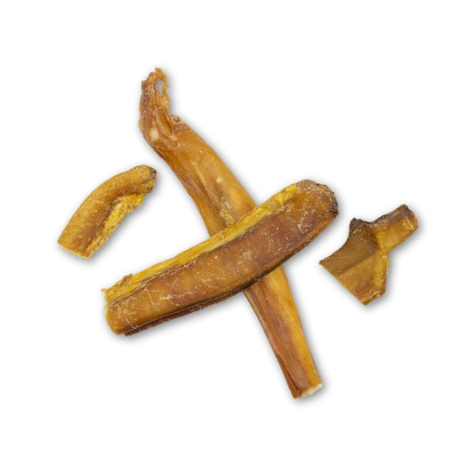 Pizzle bites for dogs – 100% beef air-dried high protein training treats
